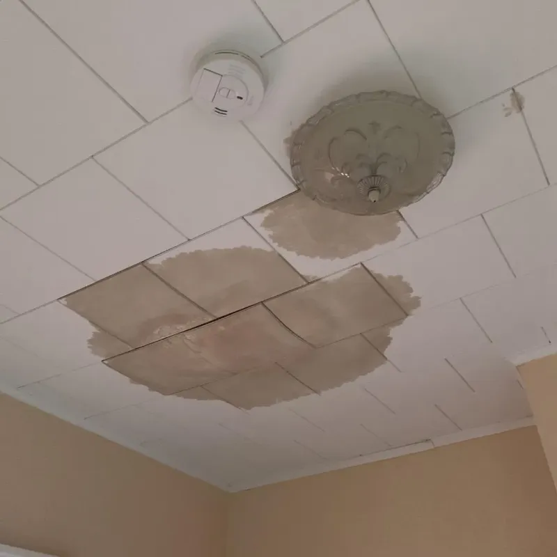 Ceiling Water Damage Repair in The Woodlands, TX