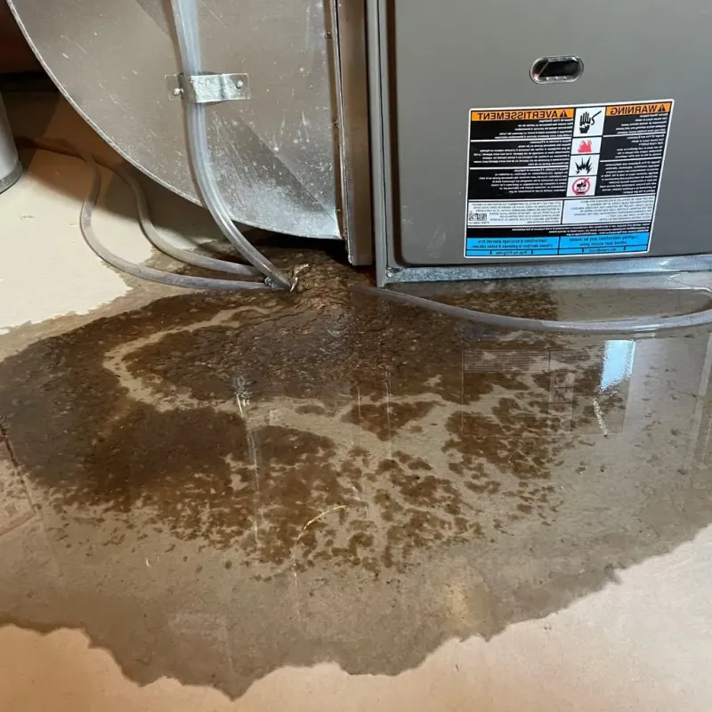 Pipe Burst and Leak Restoration in The Woodlands, TX